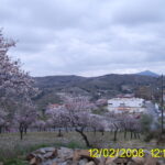 DIGITAL CAMERA