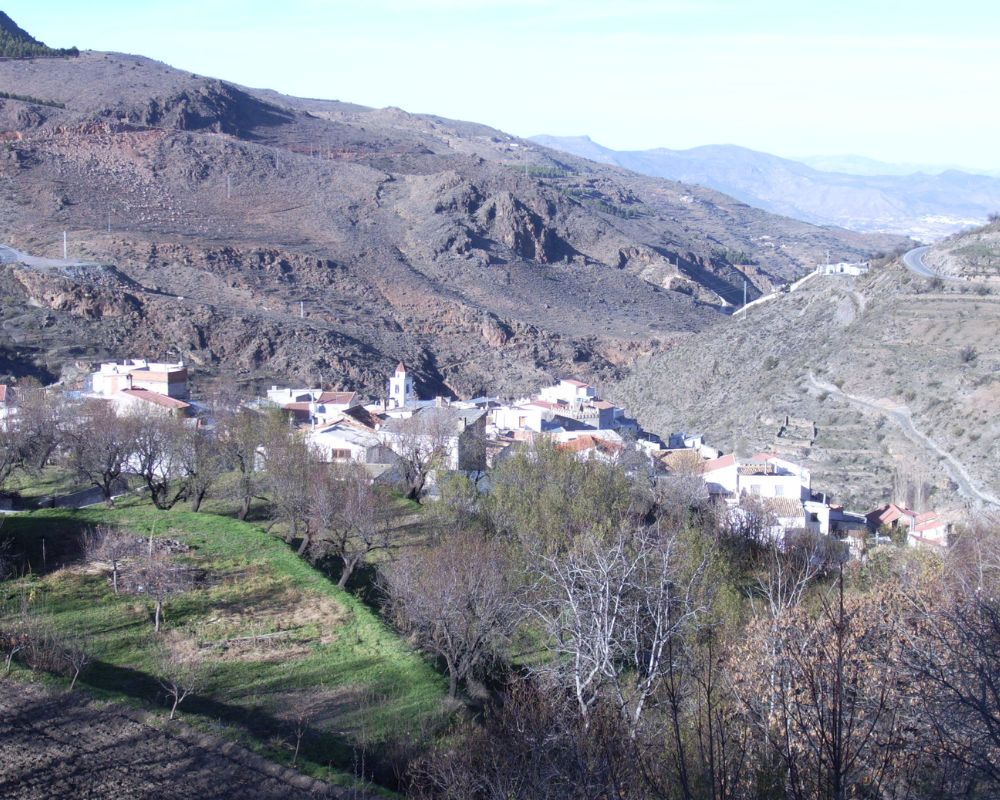 SOPORTE REPETIDOR ALCOLEA (2)